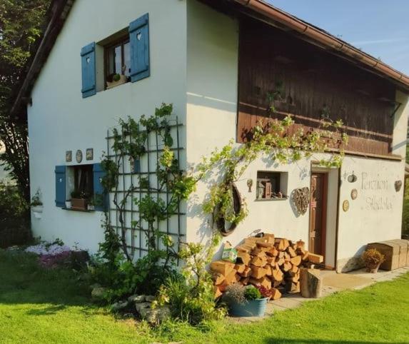 Stodola Villa Cetenov Eksteriør billede